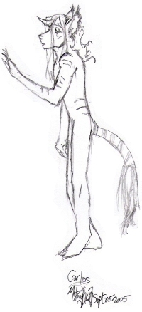 [ Carlos, the tabby-striped Unicorn-Cat; image © me, Neishai ]