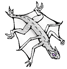 [white llithra Raul; image © Drakiera, distributed through Draco's Inferno]