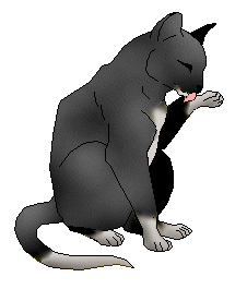 [ Zohra ]